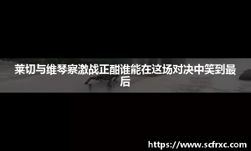 南宫NG28