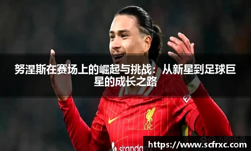 努涅斯在赛场上的崛起与挑战：从新星到足球巨星的成长之路